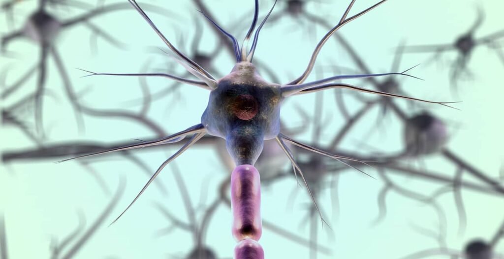 neurons-7079536_1280