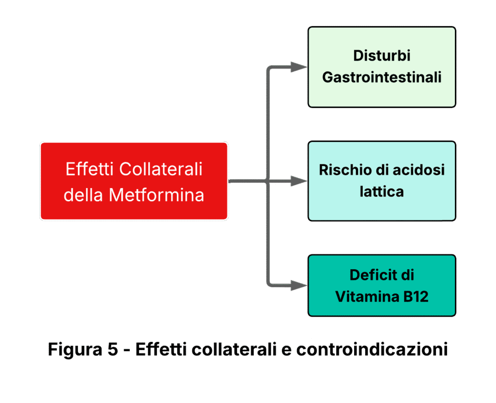 Illustrazione degli effetti collateralidella metformina