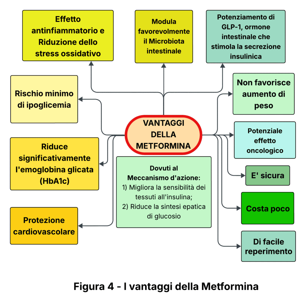 Immagine che illustra i vantaggi terapeutici della metformina