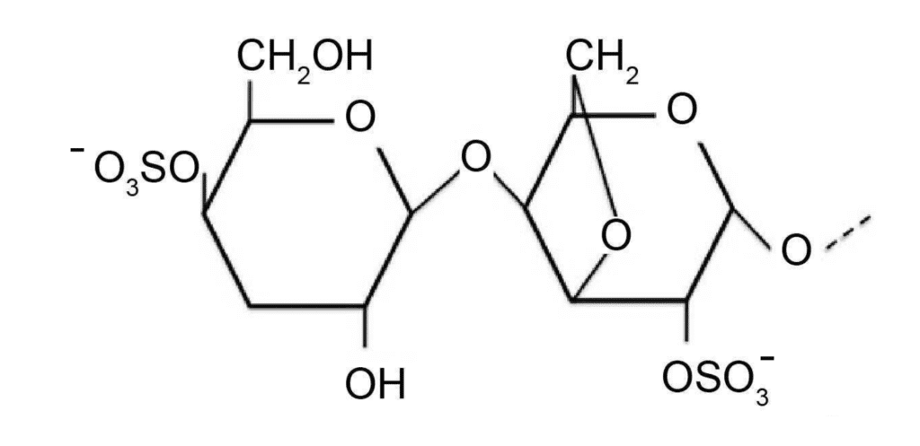 Illustrazione della struttura chimica del dimero che costituisce la base della iota-carragenina, promettente antivirale per il raffreddore comune
