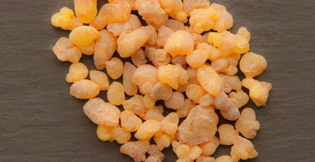 L'immagine illustra la resina di boswellia, che ha proprietà antinfiammatorie e antiossidanti preziose nell'artrosi del ginocchio