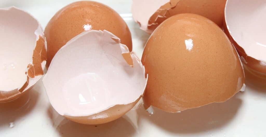 L'immagine illustra dei gusci d'uovo su un tavolo bianco, ad evidenziare la membrana interna del guscio che ha importanti contenuti nutraceutici per l'artrosi del ginocchio