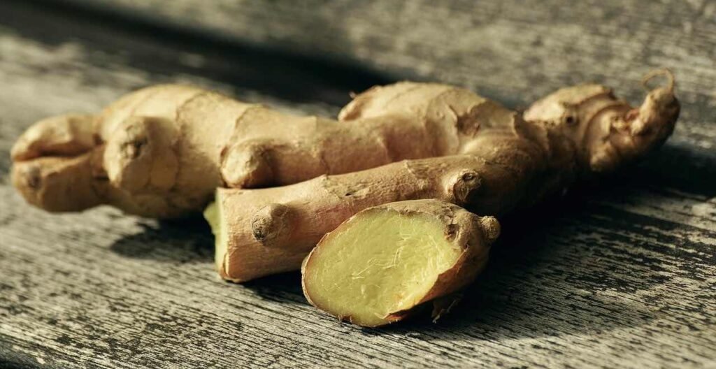 L'immagine illustra la radice di zenzero, che ha potenti attività antiossidanti ed antinfiammatorie