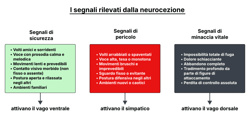 La tavola illustra i diversi segnali che attivano la neurocezione