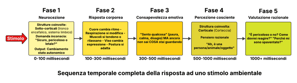 Tavola che illustra la sequenza temporale della risposta ad uno stimolo ambientale e la neurocezione