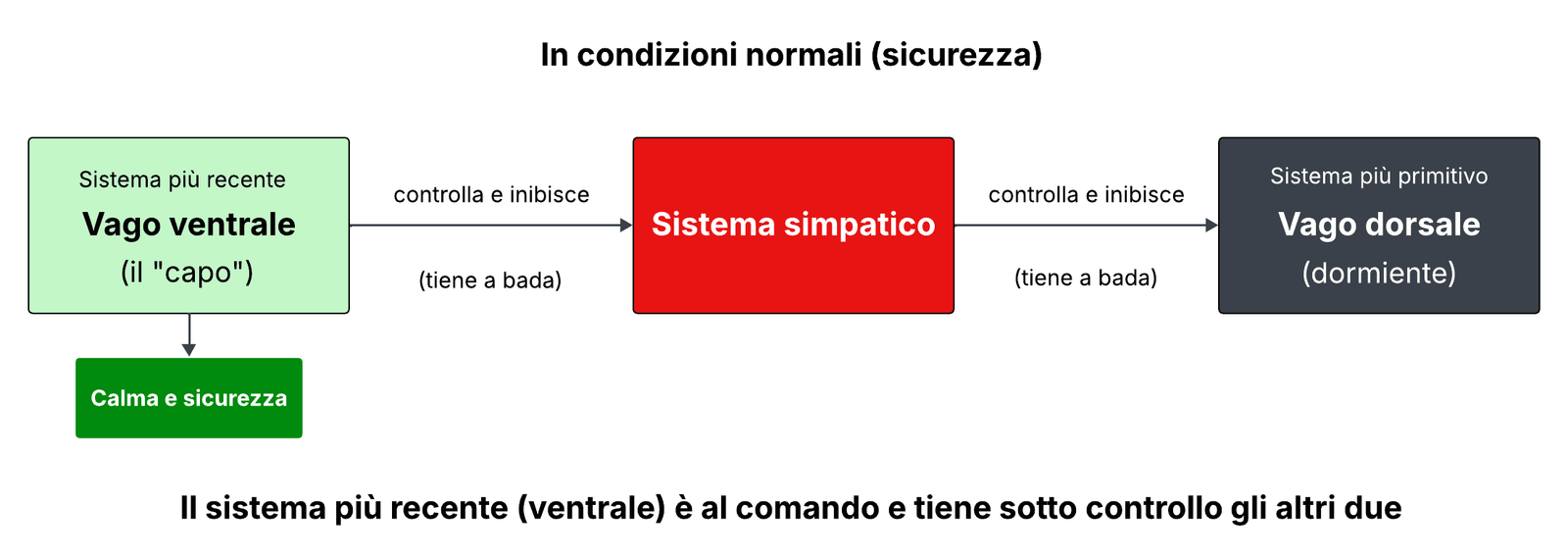 La tavola illustra la teoria polivagale ed il funzionamento dei sistemi vagali e simpatico in condizioni normali, di sicurezza