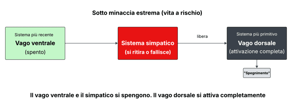 La tavola illustra la Teoria polivagale es il comportamento dei circuiti vagali e di quello simpatico in condizioni di pericolo di vita