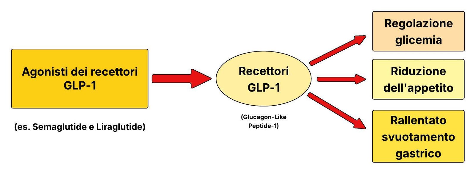 La tavola illustra sinteticamente gli effetti dei farmaci agonisti GLP-1