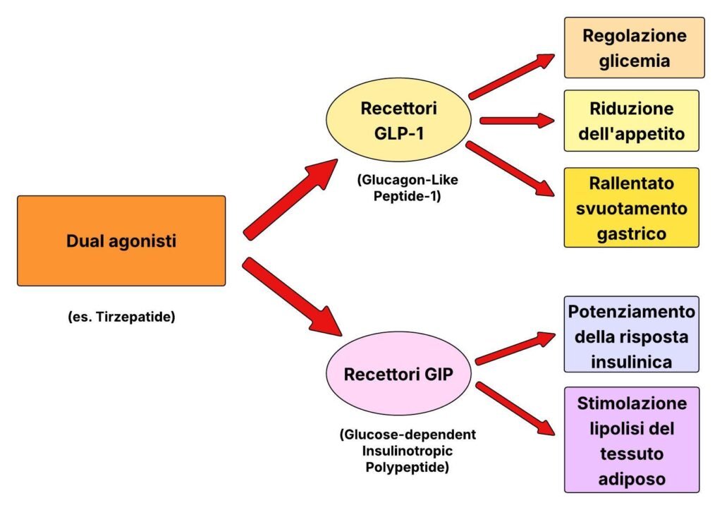 La tavola illustra sinteticamente gli effetti dei Dual agonisti