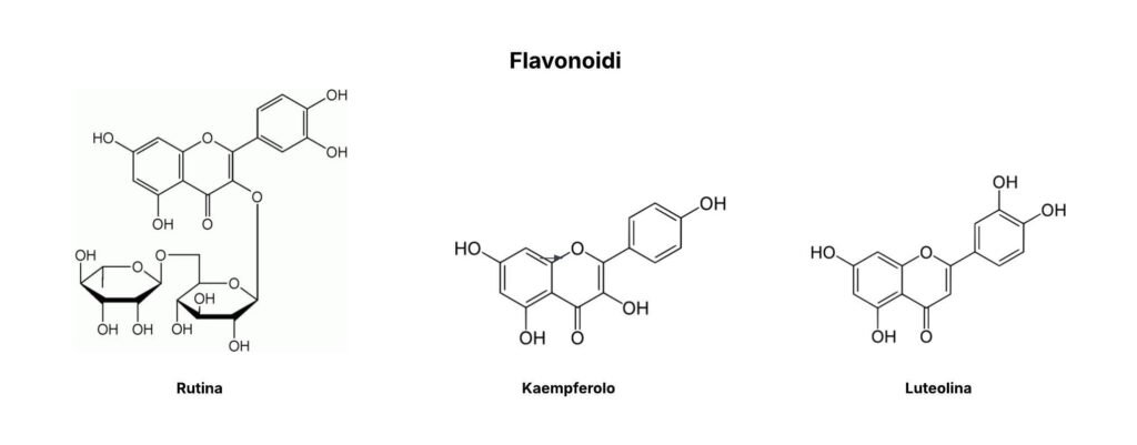 Tavola che illustra alcuni dei principali flavonoidi presenti nelle piante spontanee di ortica
