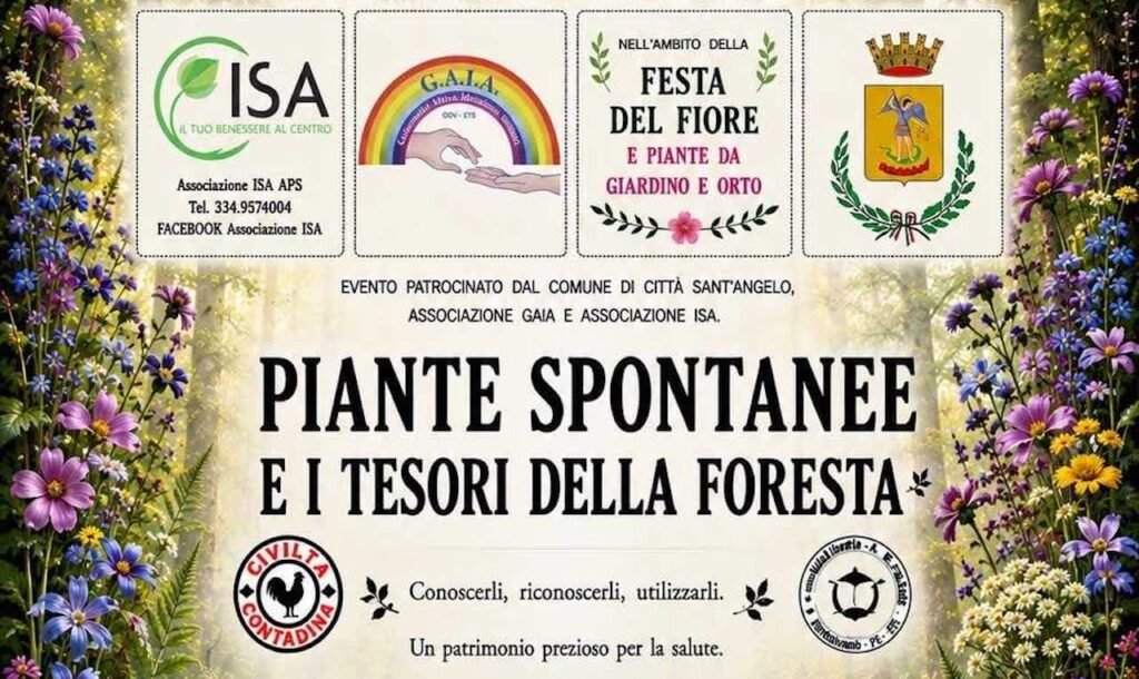 Immagine che illustra il programma del convegno "Piante Spontanee e i Tesori della Foresta