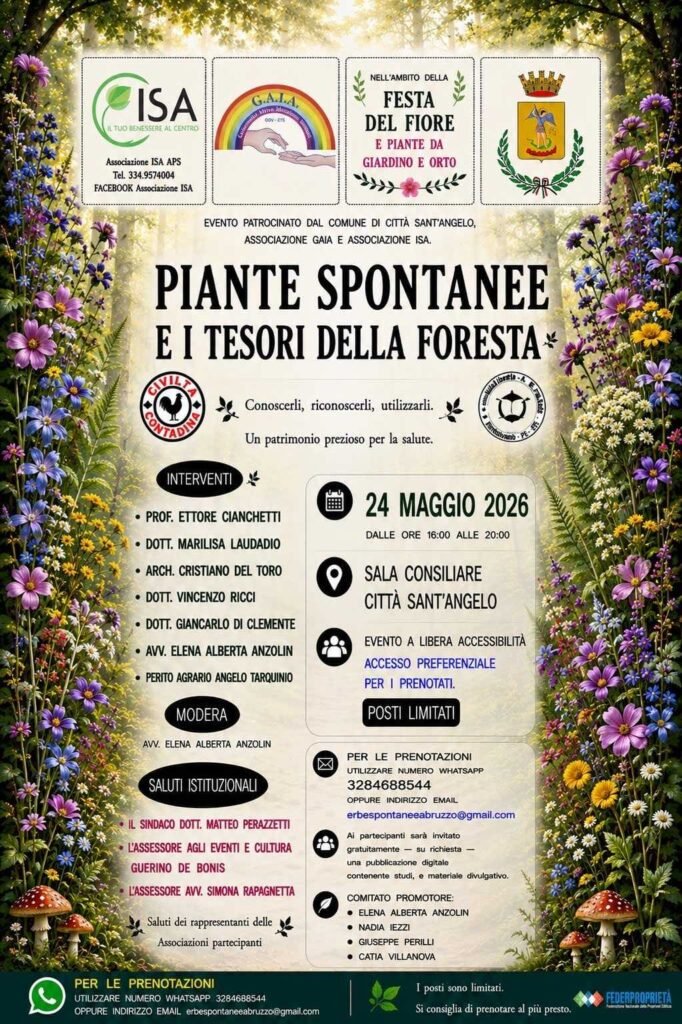 Immagine che illustra il programma del convegno "Piante Spontanee e i Tesori della Foresta