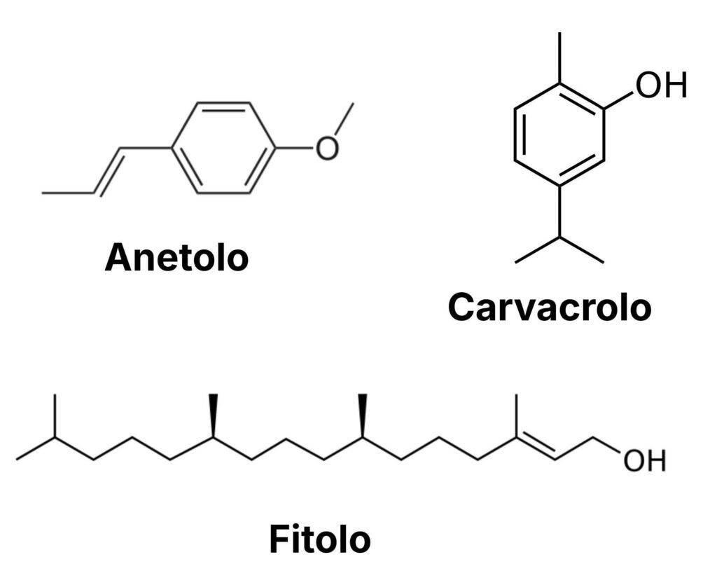 Tavola che illustra le strutture chimiche dei principali costituenti dell'olio essenziale di ortica, ma presenti anche in altre piante spontanee