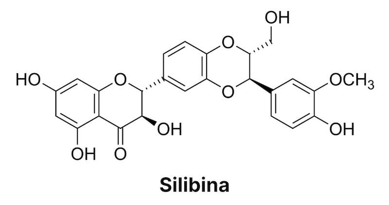 Tavola che illustra la struttura chimica della silibina, principale componente della silimarina