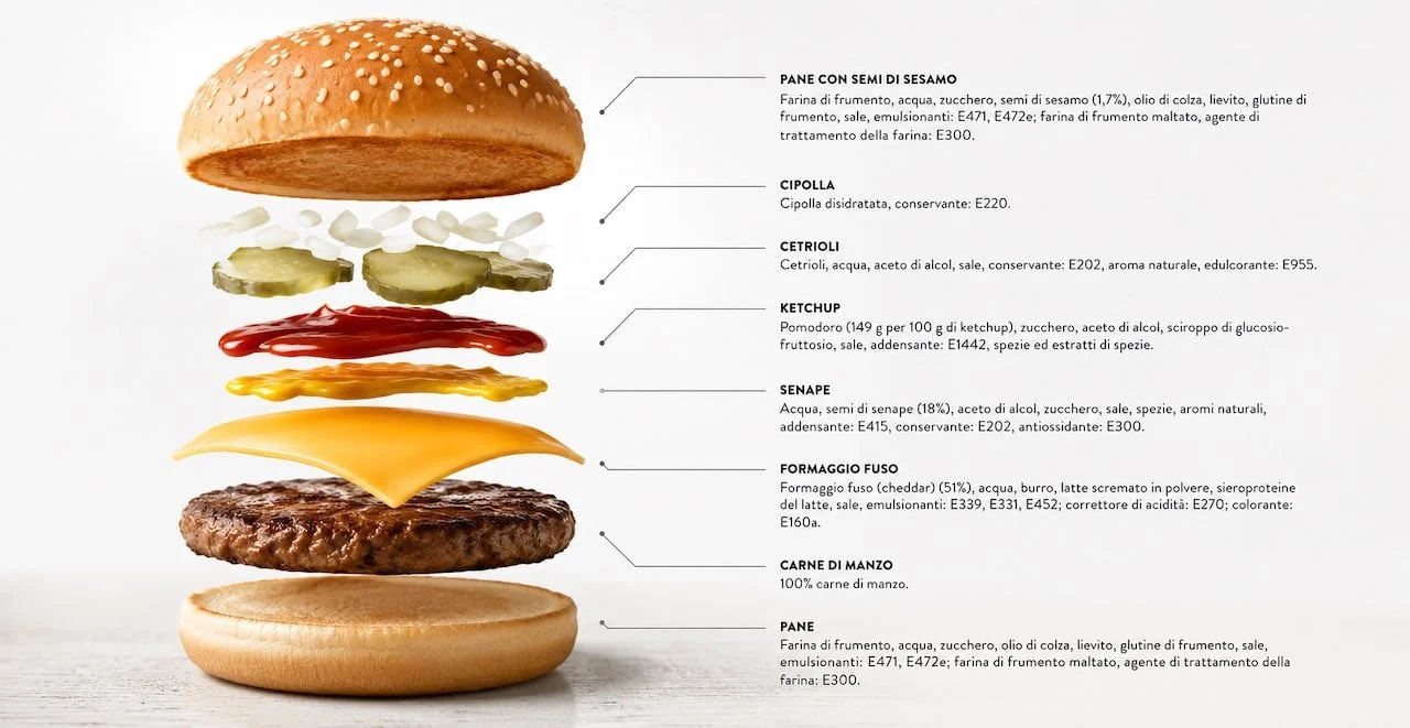 I conservanti in un hamburger alimenti ultra-processati: esploso di un panino con ingredienti ed additivi evidenziati