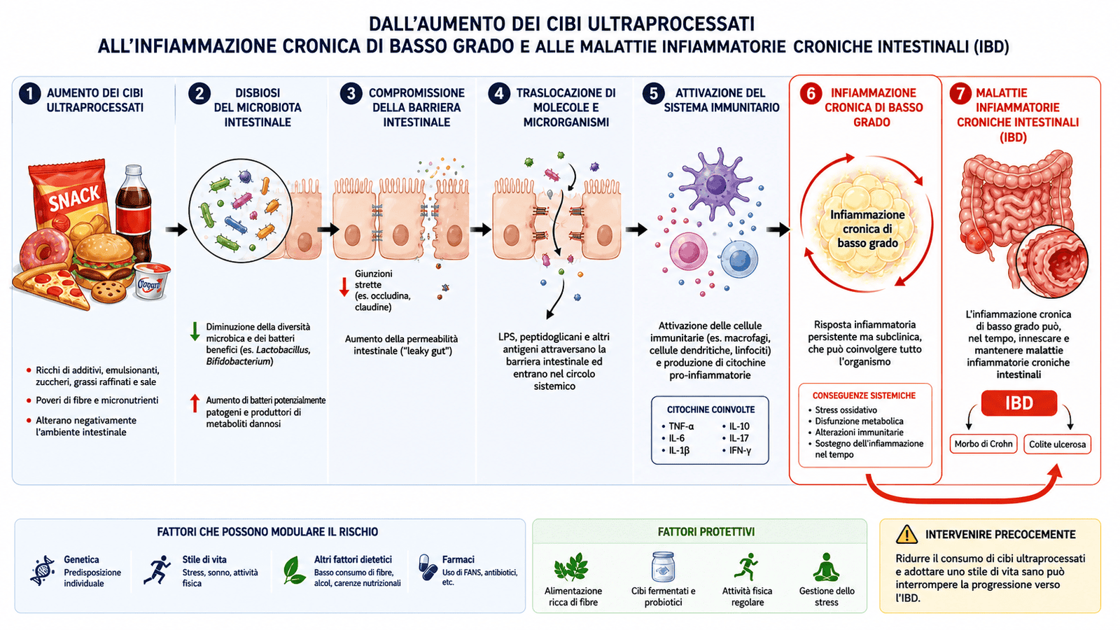 Meccanismo fisiopatologico della disbiosi intestinale e microbiota alterato da cibi ultraprocessati: disbiosi, compromissione della barriera intestinale con leaky gut, traslocazione di LPS e attivazione del sistema immunitario che porta a infiammazione cronica di basso grado, Morbo di Crohn e Colite ulcerosa